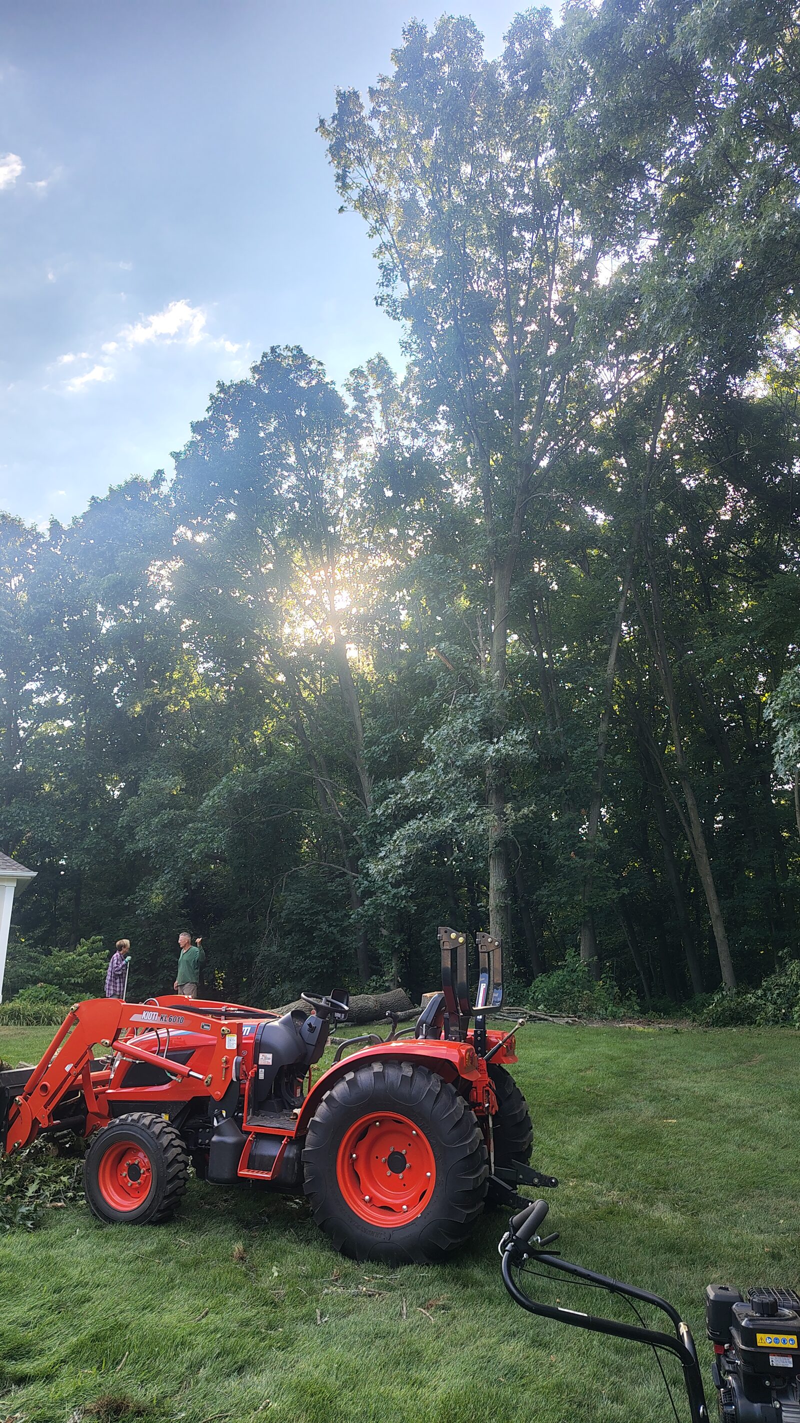 Tractor and crew on-site during the Plainwell tree removal